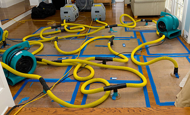 Professional Water Extraction technician working in Springfield, SC